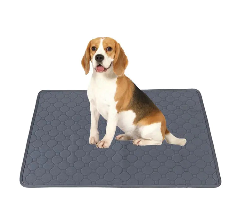 Reusable Dog Training Pads – Washable, Waterproof & Eco-Friendly