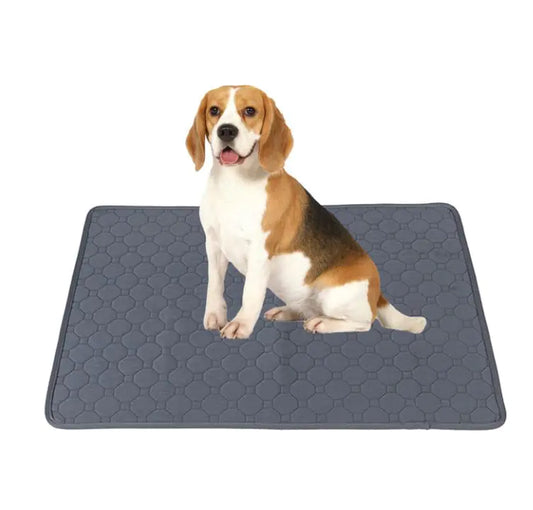 Reusable Dog Training Pads – Washable, Waterproof & Eco-Friendly