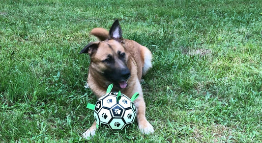 Pawfect Play Dog Soccer Ball – Trouble-Approved